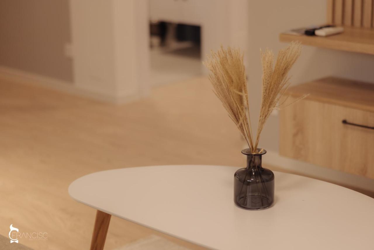 Zen Garden Apartments 克卢日-纳波卡 外观 照片